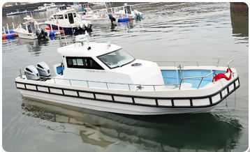 WD-36F work boat